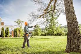 How Our Tree Care Process Works  in Redington Beach, FL